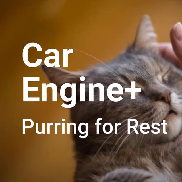 When the Engine Light is on thumbnail